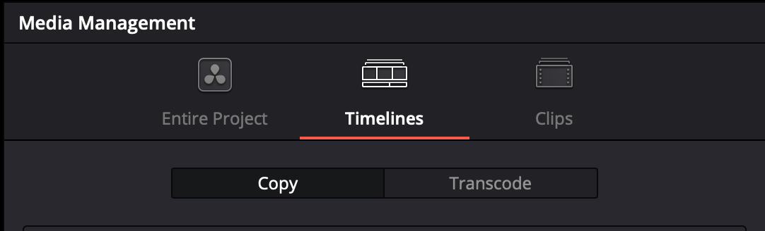 Resolve Media Management window